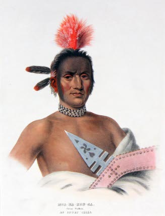 Moa-Na-Hon-Ga