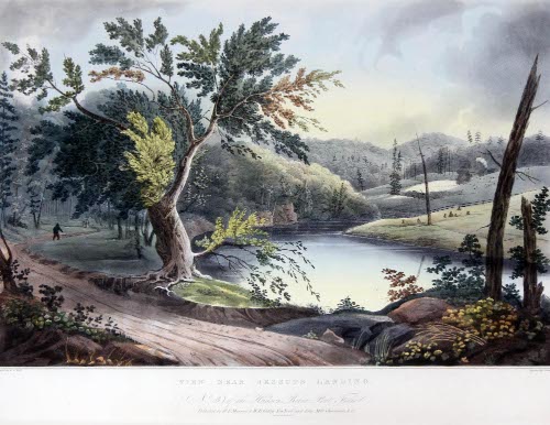 View Near Jessup's Landing