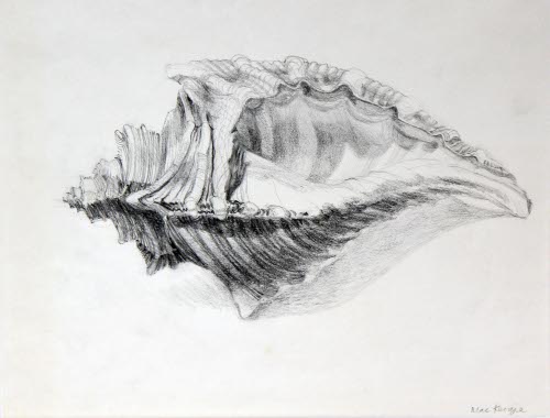 Shell