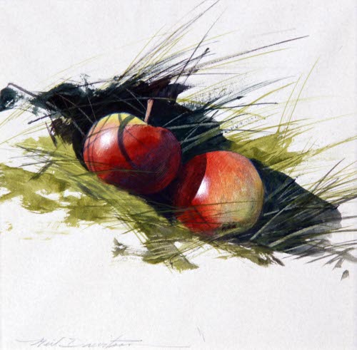 Two apples in rough grass