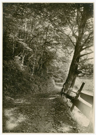 [country lane]