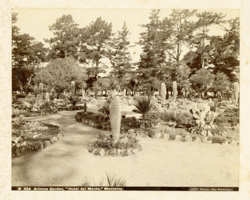 Salt Lake City/Arizona Garden