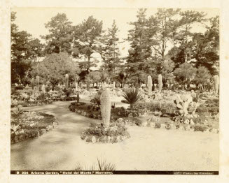 Salt Lake City/Arizona Garden