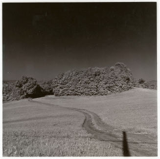 Untitled; near Warren, Vermont