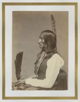 Black Crow