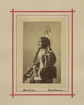 Blackeye Or Thunder Hawk