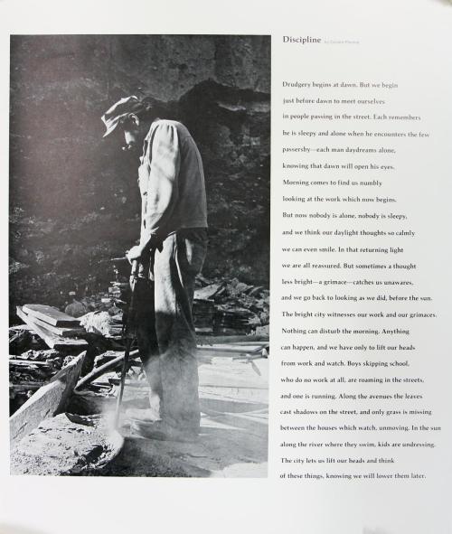 Discipline by Cesare Pavese