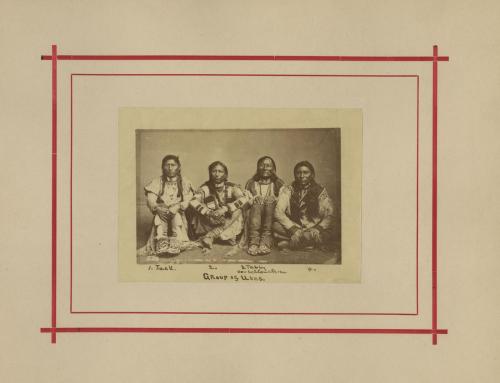 Group Of Utes
