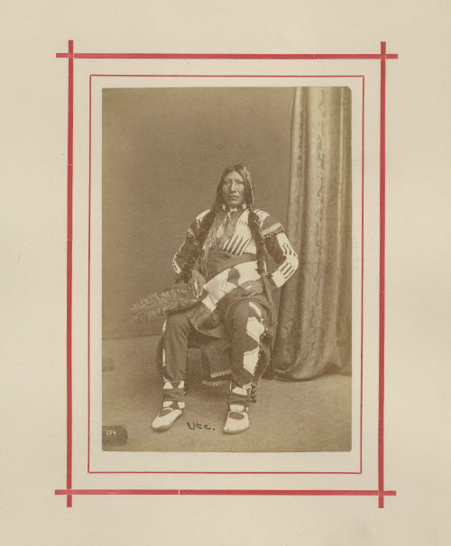 Ute Male