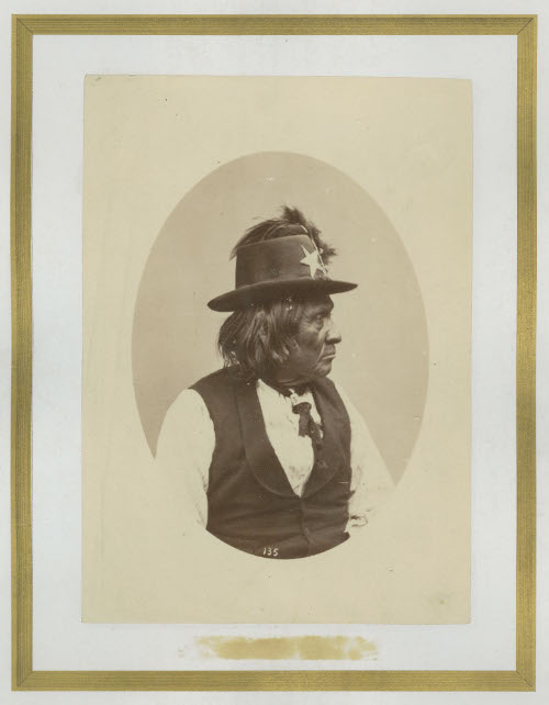 Male Indian
