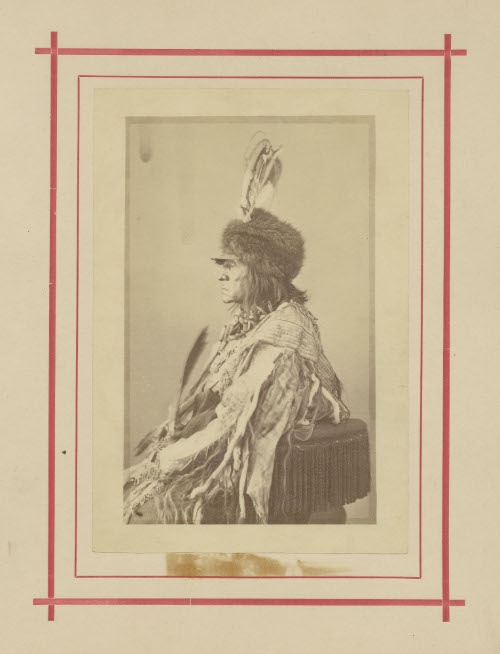 Indian Male