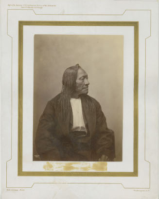 Indian Male