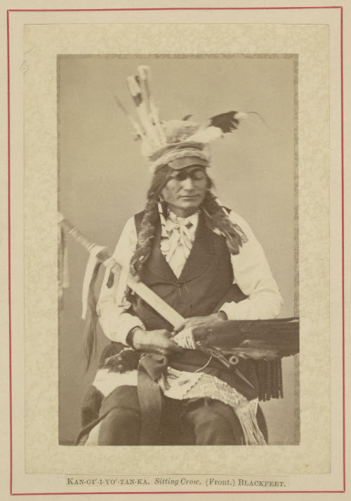 Sitting Crow