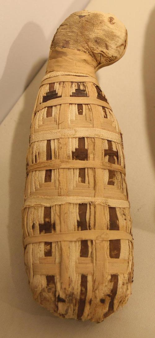 Cat mummy