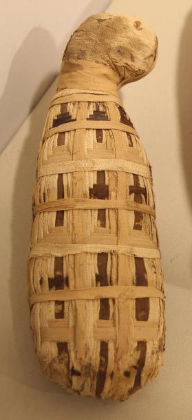 Cat mummy