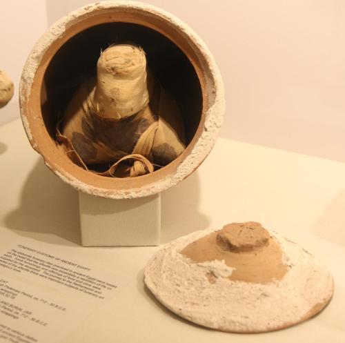 Mummy of Ibis and burial urn