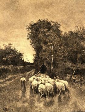 Flock of Sheep