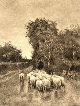Flock of Sheep