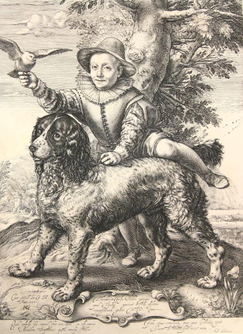 Son of Frisius