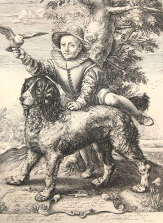 Son of Frisius