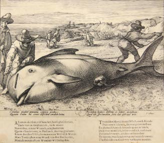 The Stranded Whale on the Beach at Zandvoort
