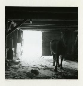 Babcock's Barn