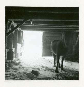Babcock's Barn