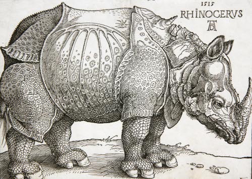 The Rhinoceros