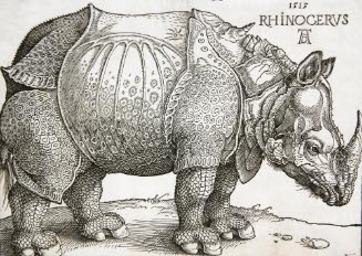 The Rhinoceros