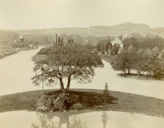 Bois De Boulounge 78