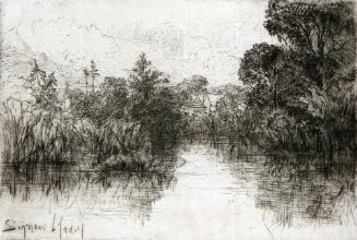 Shere Mill Pond
