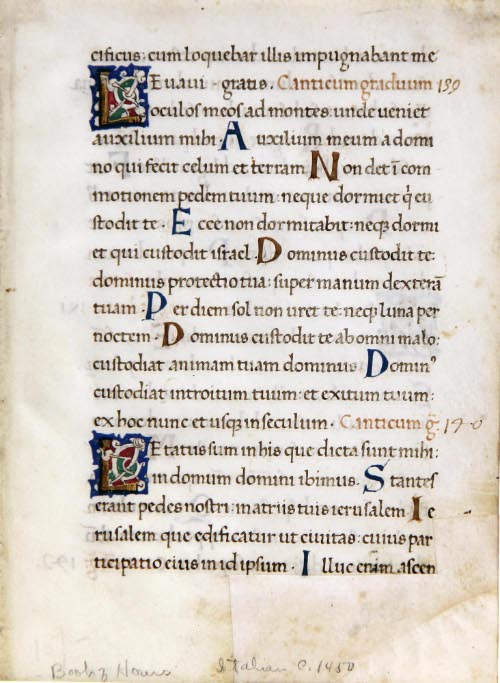 Illuminated Page from Book of Hours