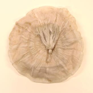 Girl's hat