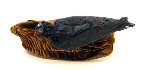 Hat