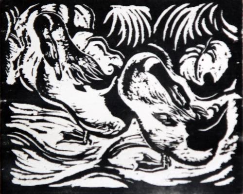 Ducks