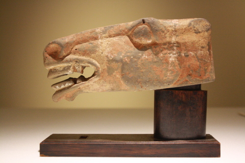 Horse head