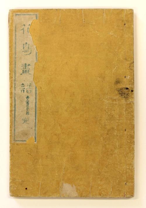 Book of Birds and Flowers