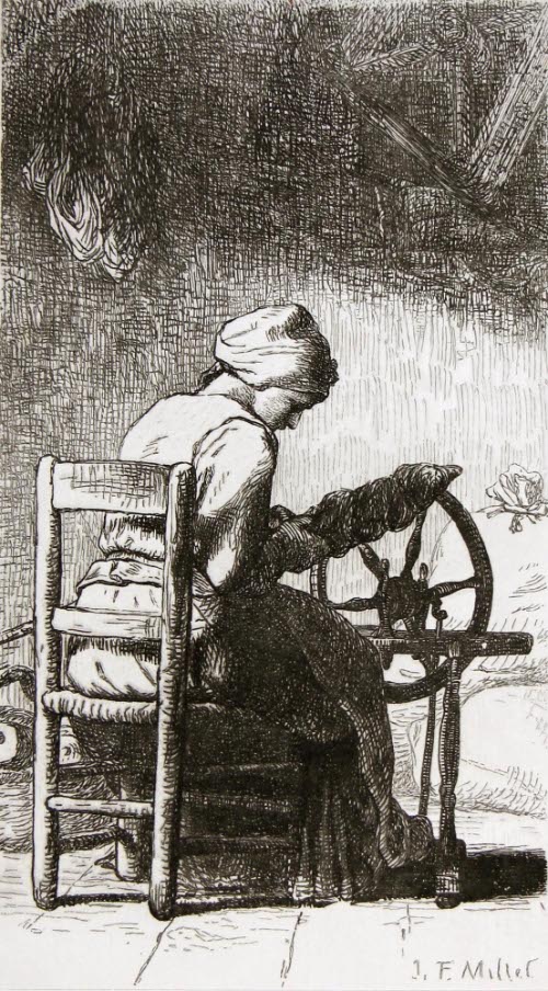 The Spinner