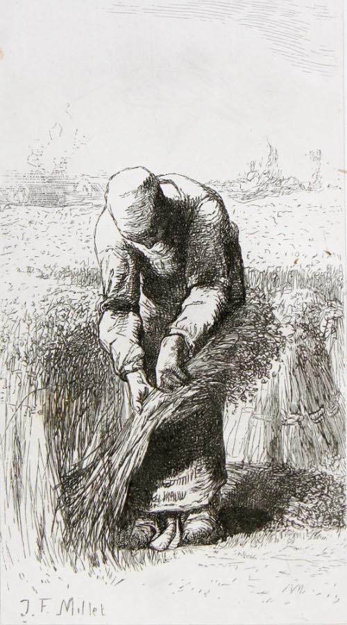The Harvester