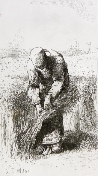 The Harvester