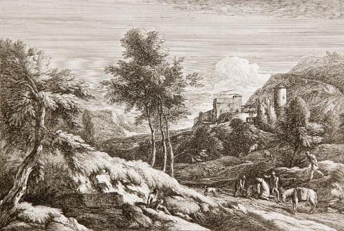 Wooded landscape
