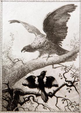 The Eagle and 'Pie