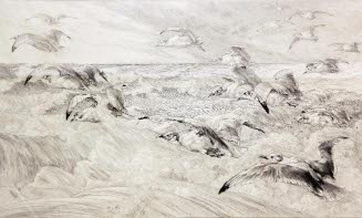Les Mouettes