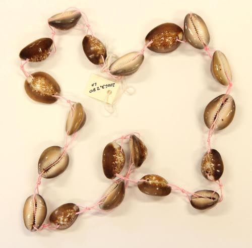 Shell neckalce
