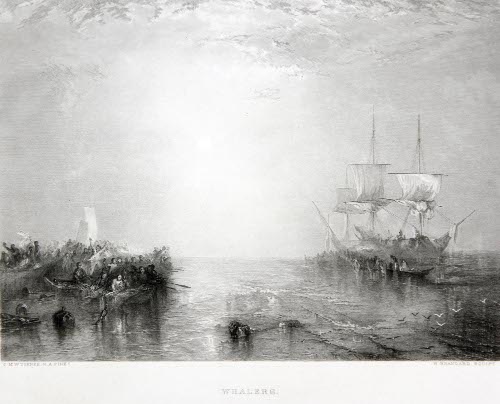 Whalers