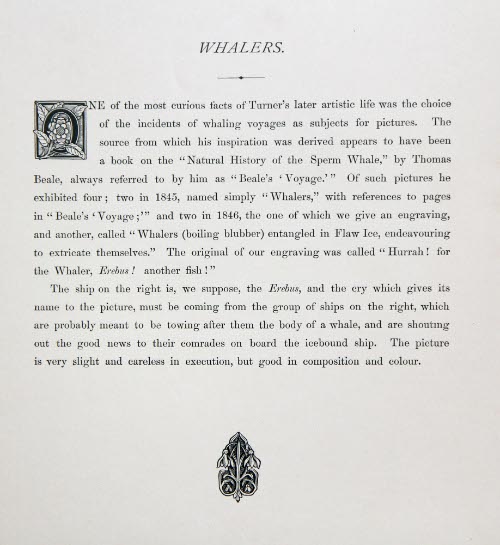 Whalers