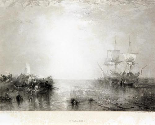 Whalers