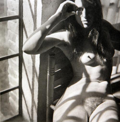 WITHOUT TITLE, 1978