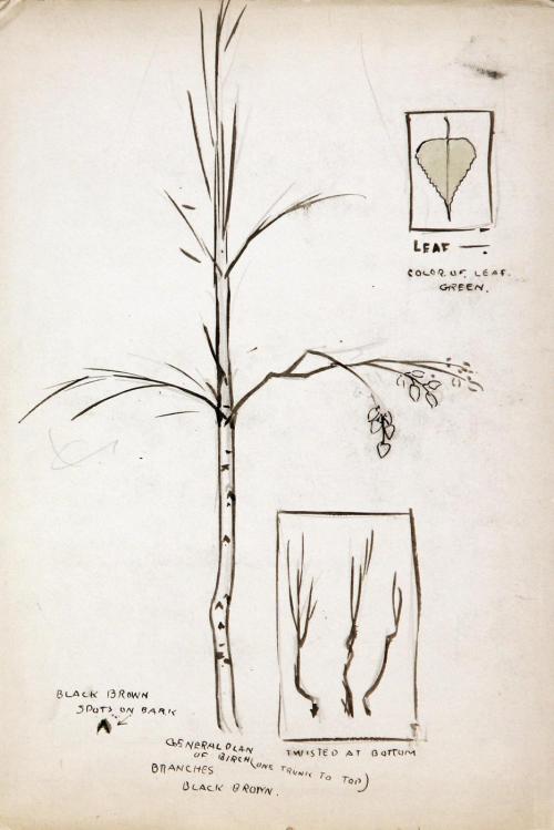 Birch leaf