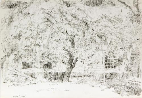 HOUSE-TREES